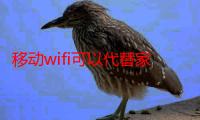 移动wifi可以代替家用宽带吗（移动wifi通）