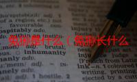 兔狲是什么（兔狲长什么样）