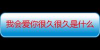 我会爱你很久很久是什么歌（我会爱你很久）