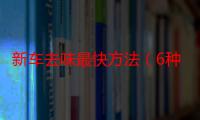 新车去味最快方法（6种新车去味的最快方法介绍）