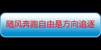 随风奔跑自由是方向追逐雷和闪电的力量什么歌（“随风奔跑自由是方向追逐雷和闪电的力量…”这首歌名是什么）