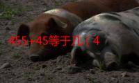 455+45等于几（455 455等于几）