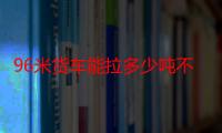 96米货车能拉多少吨不超载（96米货车能拉多少吨）