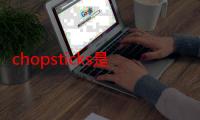 chopsticks是什么意思（chopsticks的意思）