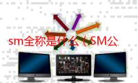 sm全称是什么（SM公司全称是什么）